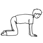 the position putting both hands and knees on the floor